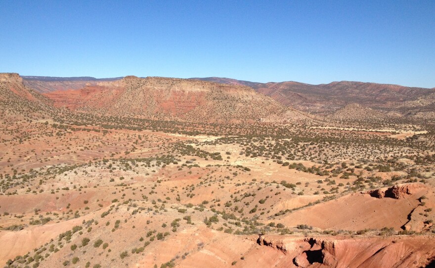 This is what New Mexico's northern desert normally looks like. Copper Canyon was a sea of burnt reds and browns in December 2013.