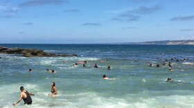 People swimming at the beach in La Jolla Cove, Sunday, July 22, 2018. 