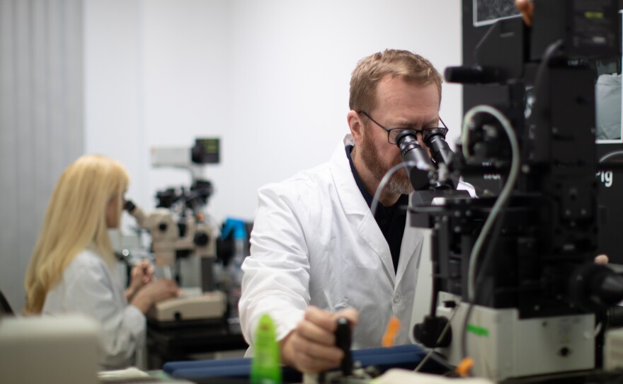 Todd Vaught, head scientist of nuclear transfers, manipulates eggs under a microscope in a Revivicor laboratory.