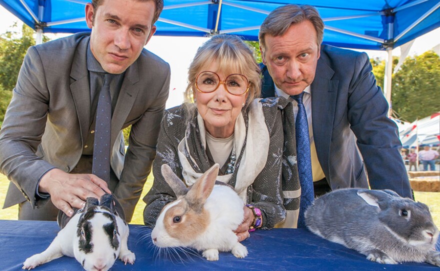 A scene from "Red In Tooth & Claw." When a dead body is discovered covered in live rabbits, DCI Barnaby and DS Winter uncover a sinister side to the local pet show. Is this a rivalry taken too far or is the killer driven by something darker?