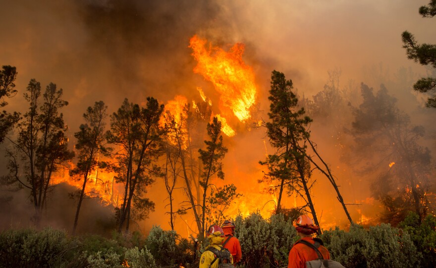 Firefighters ignite a backfire to stop the Loma fire from spreading near Morgan Hill, Calif.