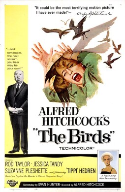 "The Birds" film poster