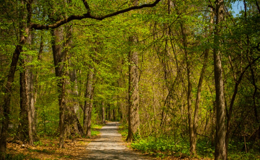 In the 1950s, as the interstate highway system cut through the country, a grassroots campaign would save not only Overton Park, but cherished green spaces around the country.