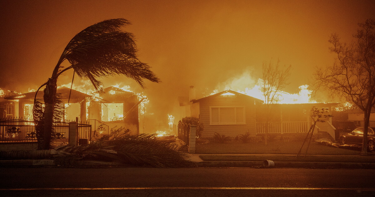 Cedar Fire She survived the 2003 Cedar Fire. Here's her advice for helping LA ...