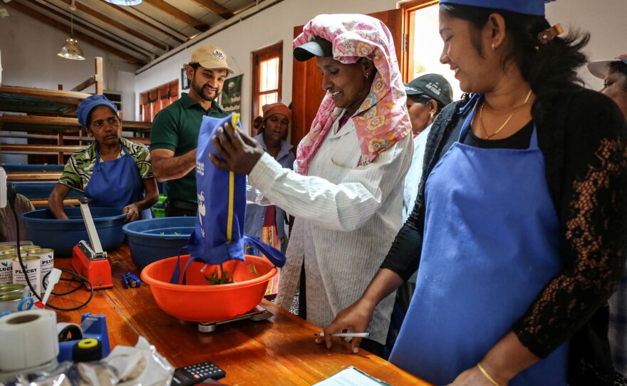 Workers have their tea weighed and recorded in a repurposed line home before continuing their work day.