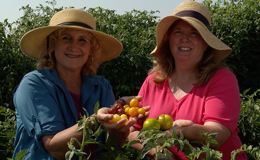 Host Nan Sterman and Patti Buskirk, owner/breeder of Seeds by Design, compare tomatoes.