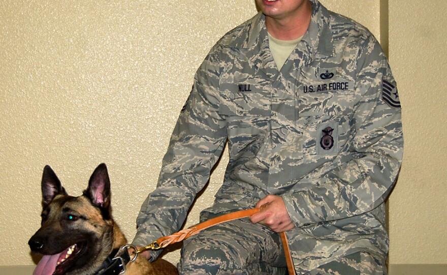 Tech. Sgt. Joe Null kneels with Layka, a combat dog who lost her legs overseas. She was given an award for animals that serve heroically in combat.