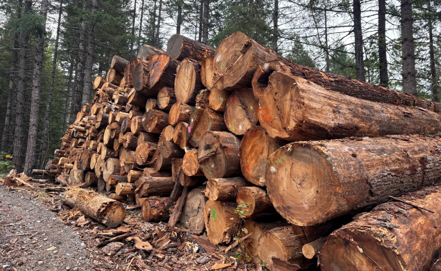 Logs from a salvage timber sale after a recent wildfire in the Willamette National Forest in Oregon.