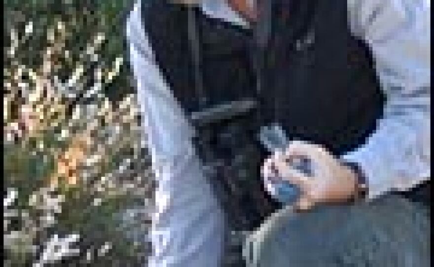 Biologist Reed Bowman retrieves a scrub-jay from a trap baited with peanuts.