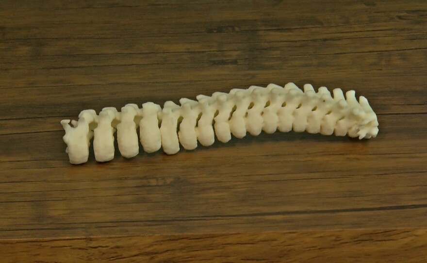 spine 2.jpg