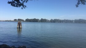 The Sacramento Delta is shown in this picture, Sept. 19, 2017. 