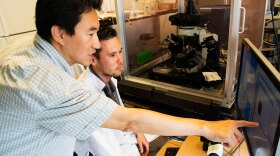Byungkook Lim (left), associate professor of neurobiology, and Daniel Knowland, neurobiology graduate student, in Lim’s laboratory at UC San Diego.