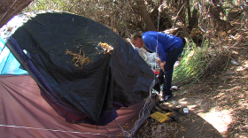 Bob McElroy, president and CEO of the Alpha Project, searches for homeless people in need along the San Diego River in Mission Valley on January 8, 2014.