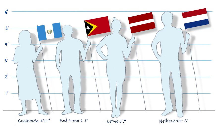 The countries with the tallest and shortest 18-year-old men and women in the world, according to a new study.