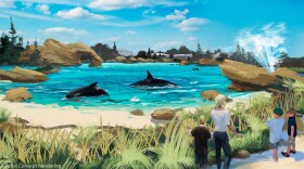 An artist rendering of the planned expansion of SeaWorld's killer whale habitat.