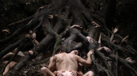 A still from Lars von Trier's film "Antichrist" starring Charlotte Gainsbourg and Willem Dafoe.