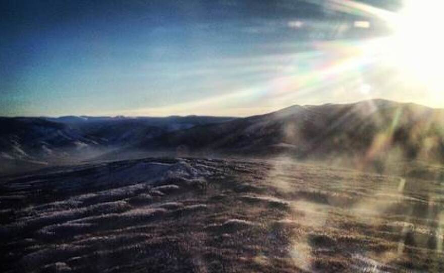 The sun sets over a swath of black spruce forest blanketed by a thin layer of snow in Alaska's interior. Unseasonably warm weather has Alaskans worried about the impact of climate change on dog sledding.