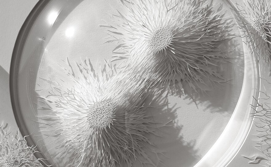 Outbreak took four months to cut and build. Brown writes on his website that the slow process of cutting mimics the "long time-based processes that dominate nature: growth and decay."