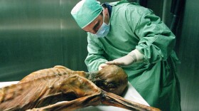 Scientist taking a sample from Otzi in the cold chamber. He’s been dead for more than 5,000 years and probed by scientists for the last 20. Yet today, Otzi the Iceman, the famous mummified corpse pulled from a glacier in the Italian Alps nearly two decades ago, continues to keep many secrets.