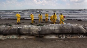 A BP cleanup crew removes oil from a beach on May 23, 2010 at Port Fourchon, Louisiana. Officials now say that it may be impossible to clean the hundreds of miles of coastal wetlands affected by the massive oil spill that continues gushing in the Gulf of Mexico. 