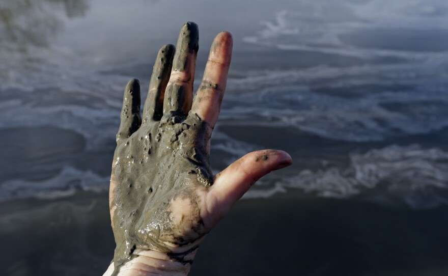 Amy Adams, North Carolina campaign coordinator with Appalachian Voices, shows her hand covered with wet coal ash taken from the Dan River, which swirls in the background in February 2014. The Duke Energy spill coated 70 miles of the river with toxic sludge containing arsenic, selenium, and boron.