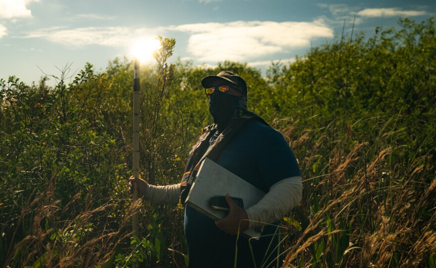 University of Florida Wildlife Biologist and Florida Cooperative Fish and Wildlife Researcher Brian Jeffery carries a measuring tool with a mirror to observe and record Snail Kite nest heights and surrounding water depth at Lake Okeechobee in Moore Haven, Fla.