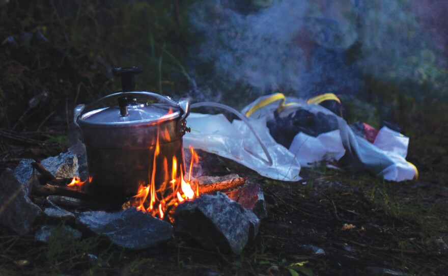 Thwaites heated grass in a pressure cooker in order to make it digestible.