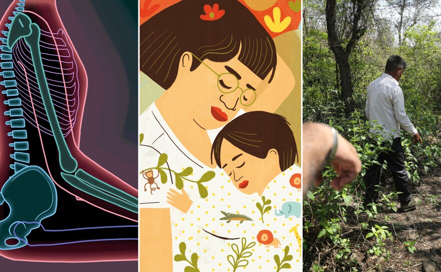 Some images from Goats and Soda's top stories of 2018. From left: changing the way we sit to fix back pain; is sleeping with your baby dangerous?; men walk near the site where the body of an 8-year-old girl, who was raped and murdered, was found.