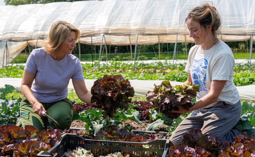 Samantha Brown visits the Farm Club on the Leelanau Peninsula.