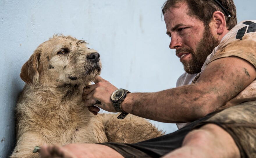 Swedish endurance athlete Mikael Lindnord managed to get Arthur, a dog his team befriended in Ecuador, to come home with him.