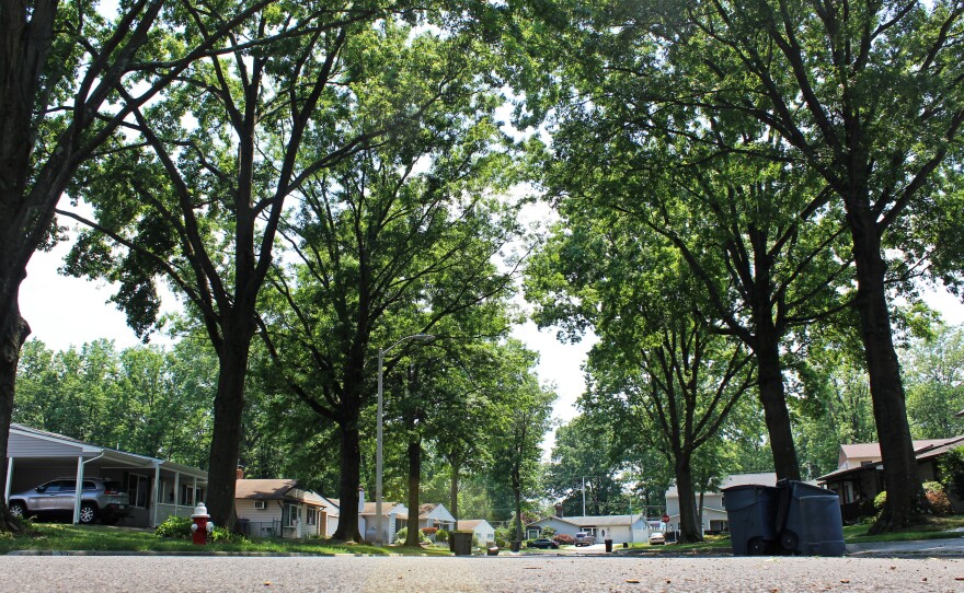 This neighborhood on Tearose Lane is part of the iconic early suburb of Levittown, Pa., in Bucks County. It happens to be a swing county in a swing state that's gone for Democrats in recent presidential races — but that could change now that Donald Trump wants to compete.