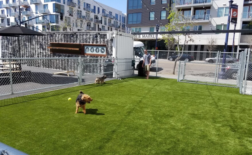 A dog chases a ball in the dog run at Quartyard in San Diego's East Village, April 9, 2018.