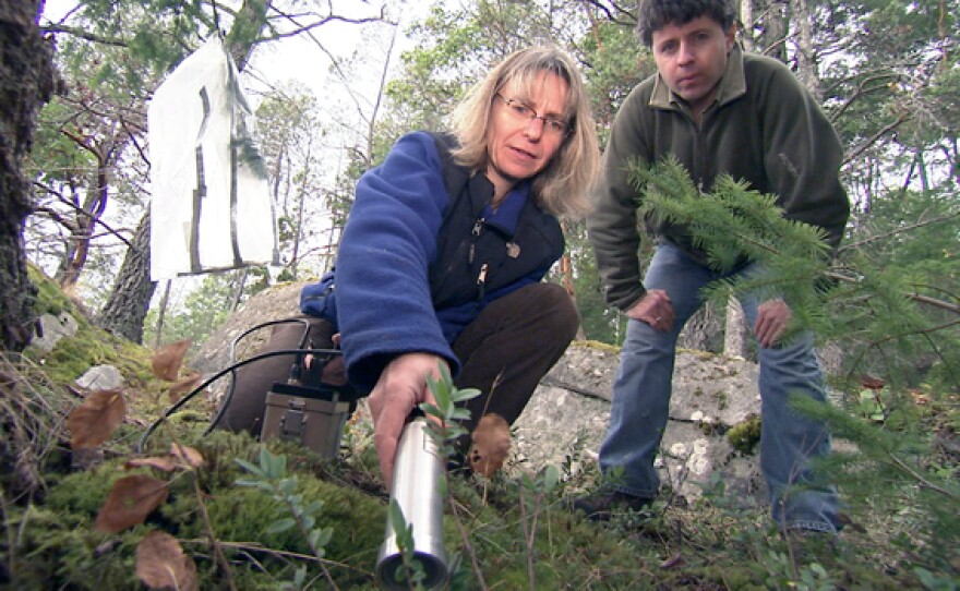 Dr. Suzanne Simard, University of British Columbia and graduate student, Marcus Bingham, use Geiger counter to determine if radioactive materials representing nutrients were shared though the root system from the Douglas fir ‘mother’ tree to other nearby vegetation.