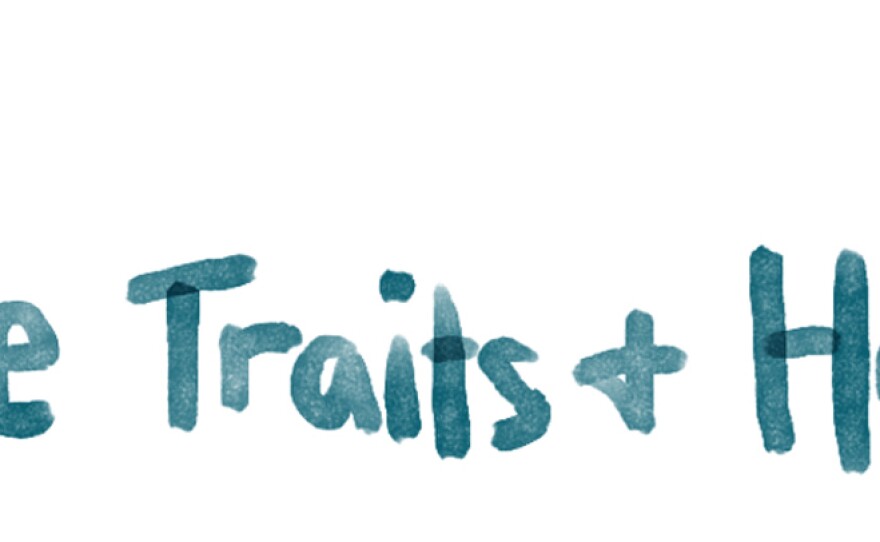 traits_custom-ca66d5e8407ec02bc4b67eabd56426585a69148f.jpg