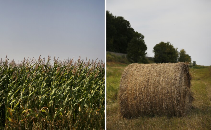 North Dakota farmland in and around Minto.