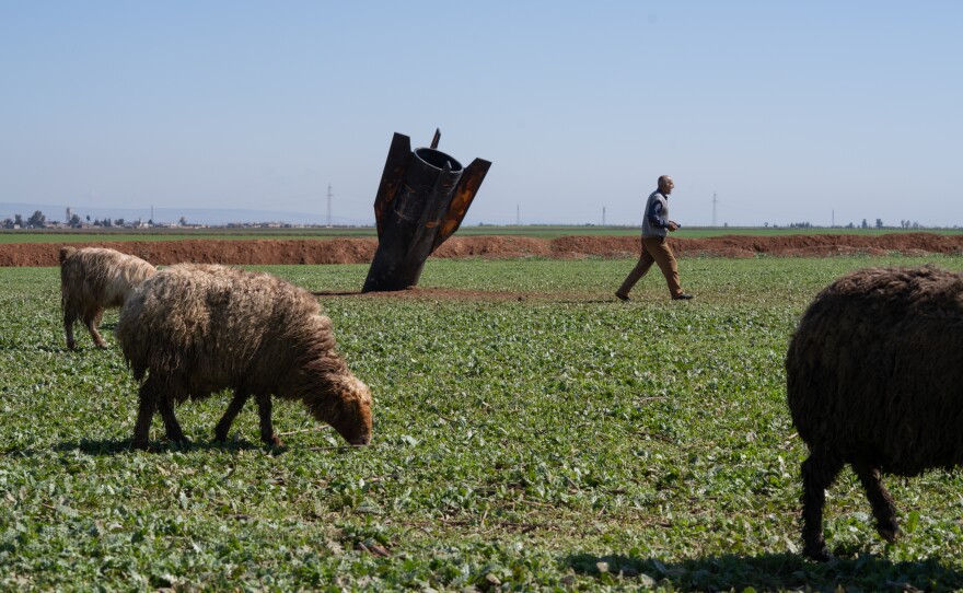 Akram Abdul Ghani, 60, walks through the field where a rocket landed as goats and sheep graze.