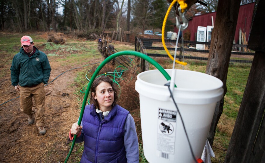 Sara Guerre fills the chicken coop's water feeder. They installed an aquarium heater to prevent freezing throughout the winter months.