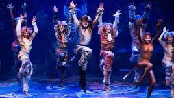 Cats - The Musical