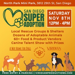 San Diego Super Adoption