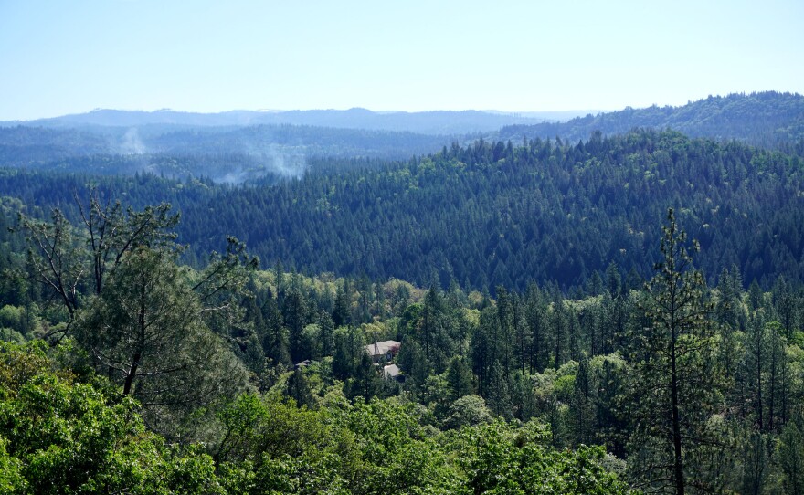 Smoke from a prescribed fire, set intentionally to clear dense brush piles, drifts over the outskirts of Placerville. Home are dotted through the wildland-urban interface, putting them at risk of burning.
