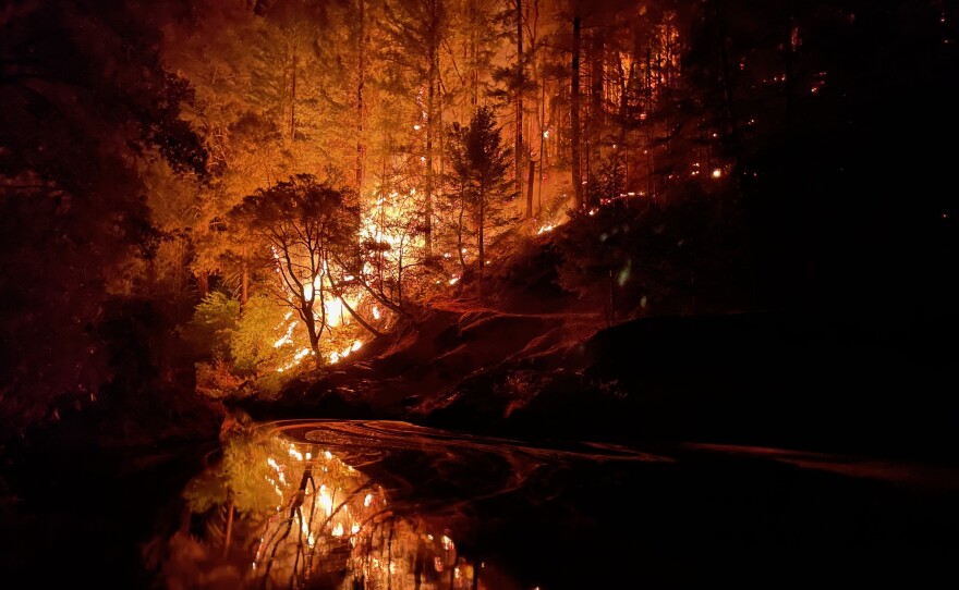 The Caldor Fire burns south of Grizzly Flats on August 15, 2021.