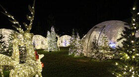 Festive Igloos
