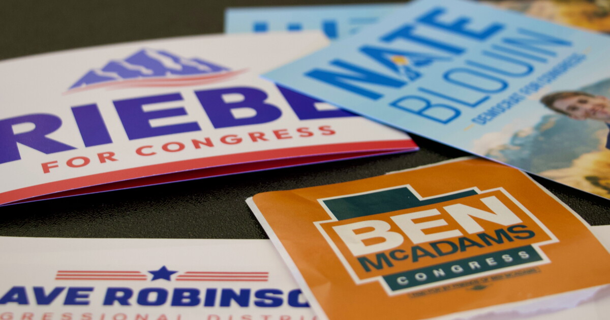 Voters weigh what kind of Democrat they want for Utah's new, blue Congressional seat