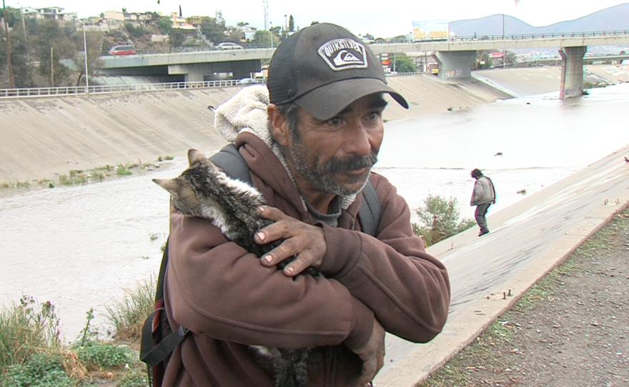 The Tijuana migrant Jose Alberto Zavala, known as Chapo, cradles a wet kitten he rescued in the rain, Jan. 5, 2016.