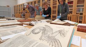 The exhibits team at the San Diego Natural History Museum examining rare book illustrations in the museum's research library, in an undated photo.
