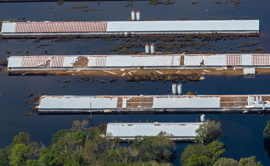 An industrial farm affected by flooding from Hurricane Florence in Duplin County, N.C.