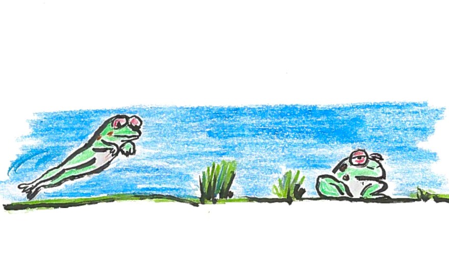A frog hopping.