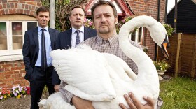 A scene from "A Rare Bird." A row between keen birdwatchers in Midsomer-in-the-Marsh turns nasty when their president is killed. Patrick Morgan met his death while hoping to sight a rare bird, but is his obsession with ornithology to blame – or something more sinister? 