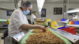 Employees inspect almonds in the processing facility at Steward & Jasper Orchards in Newman, Calif. on July 20, 2021. 