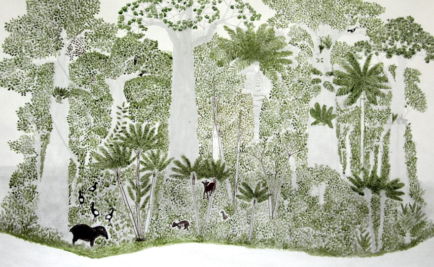 In each of Rodriguez's rainforest drawings, the vegetation and animal life is a little different, reflecting the season.